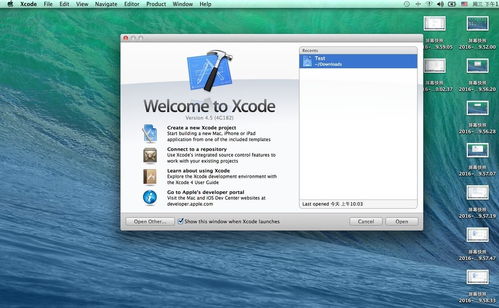 蘋(píng)果手機(jī)app開(kāi)發(fā)工具 ios軟件開(kāi)發(fā)用什么工具